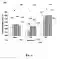 Fig. 06 - Three-way catalyst systems including Fe-activated Rh and Ba-Pd material compositions