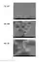 Fig. 12 - Fluidic circuits and related manufacturing methods