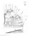 Fig. 05 - Moveable jaw mounting assembly