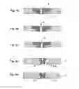 Fig. 05 - Cleaning of nozzles from solidified coating materials