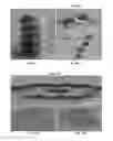 Fig. 07 - Microscale stamp with reversible adhesion for transfer printing