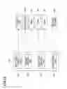 Fig. 12 - Liquid coating method, liquid coating apparatus, and computer-readable storage medium