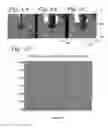 Fig. 03 - Device with electrospray coating to deliver active ingredients