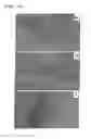 Fig. 15 - Device with electrospray coating to deliver active ingredients