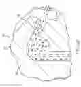 Fig. 04 - Tool holder having improved internal coolant delivery