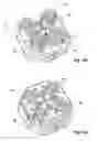 Fig. 20 - Compensating chuck