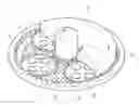 Fig. 01 - Plate and dual side wafer grinding device including same