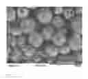 Fig. 05 - Abrasive products and methods for finishing hard surfaces