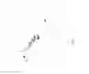 Fig. 02 - CONTROL MECHANISM CONTROLLABLE OVER SINGLE SHOT AND REPEAT SHOT