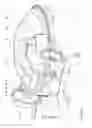 Fig. 03 - Apparatus for Cutting Food