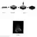 Fig. 06 - HIGH-THROUGHPUT MANUFACTURING OF MICRONEEDLES