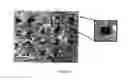 Fig. 11 - HIGH-THROUGHPUT MANUFACTURING OF MICRONEEDLES