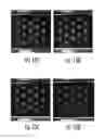 Fig. 10 - Method of printing grayscale and full-color 3D articles