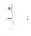 Fig. 04 - Systems and methods for forming three dimensional objects