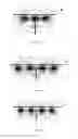 Fig. 13 - Optical effect layers showing a viewing angle dependent optical effect, processes and devices for their production, items carrying an optical effect layer, and uses thereof