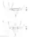 Fig. 04 - FOLDABLE ORNAMENTAL ARTICLES