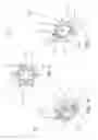 Fig. 06 - FOLDABLE ORNAMENTAL ARTICLES