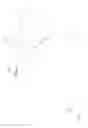 Fig. 02 - Frame structure for a vehicle door in particular a tailgate of a vehicle