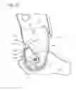 Fig. 11 - VEHICLE SEAT