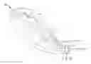 Fig. 01 - Headlamp retaining bracket assembly