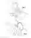 Fig. 03 - Headlamp retaining bracket assembly