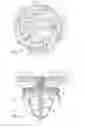 Fig. 03 - Fastener for fastening a panel to a support and assembly to fasten to said support, provided with a fastener and a panel