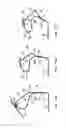 Fig. 11 - Front body structure of vehicle