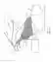 Fig. 15 - Front body structure of vehicle