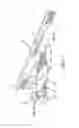 Fig. 06 - Windshield wiper connector