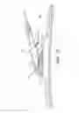 Fig. 09 - Windshield wiper connector