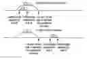 Fig. 01 - Computer-implemented method and system for managing conditional authorities in a vehicle network