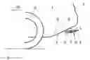 Fig. 01 - Motor vehicle with an adjustable air-guiding element