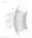 Fig. 06 - Conveyor device for conveying food