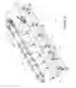 Fig. 03 - Lug loader