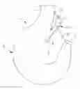 Fig. 01 - Lifting hook, safety latch of lifting hook and locking and releasing device of safety latch
