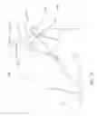 Fig. 10 - Beverage Dispenser and Related Methods