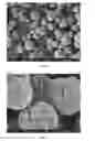 Fig. 02 - RUTILE TITANIUM DIOXIDE MICROSPHERES AND ORDERED BOTRYOIDAL SHAPES OF SAME