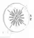 Fig. 21 - Filter assembly with locking cover