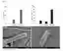 Fig. 12 - COMPOSITIONS, DEVICES, AND METHODS INVOLVING DEGRADATION OF CYANURIC ACID