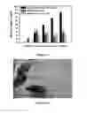 Fig. 11 - Xanthine oxidase inhibitors and methods of use