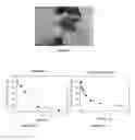 Fig. 13 - Xanthine oxidase inhibitors and methods of use
