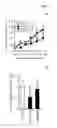 Fig. 05 - Anticancer agent