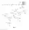 Fig. 02 - Carboxybetaine-functionalized diols