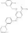 Fig. 256 - NICOTINAMIDES AS JAK KINASE MODULATORS