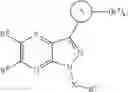 Fig. 93 - Indazole derivatives and uses thereof