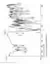 Fig. 04 - Anhydrous lenalidomide form-I