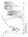 Fig. 09 - Anhydrous lenalidomide form-I