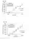 Fig. 04 - Non-selective kinase inhibitors