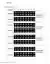 Fig. 06 - Non-selective kinase inhibitors
