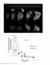 Fig. 07 - Non-selective kinase inhibitors